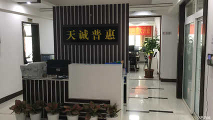 茂名市天诚信息咨询服务 专业赋能，智领未来